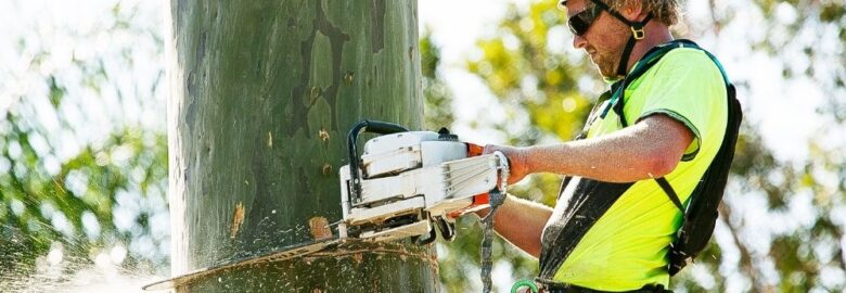 Melbourne Tree Removal