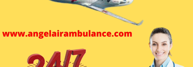 Take The Best  Charter Aircraft  By Angel  Air Ambulance Service in Vellore