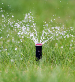 Evergreen Sprinkler and Landscaping Services