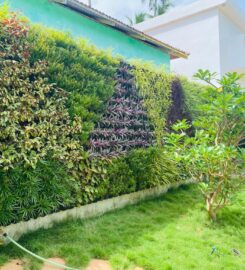 Best Artificial Grass Works Calicut Koyilandy Balussery Feroke Koduvally